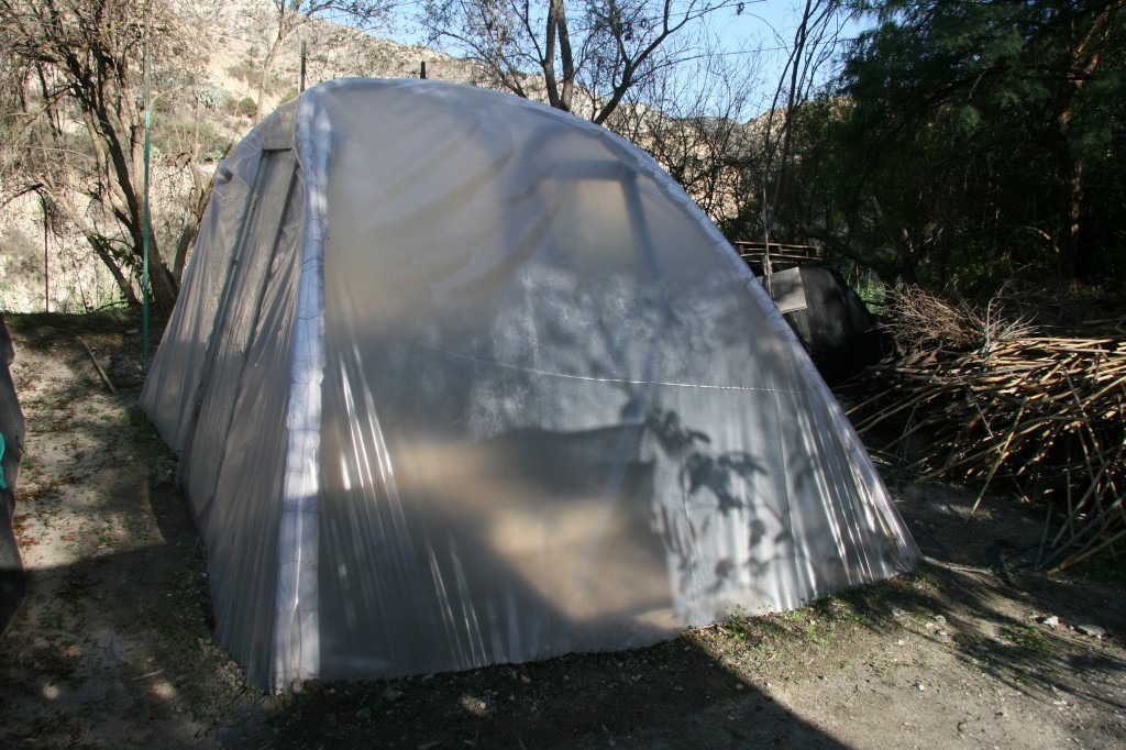 Greenhouse outside