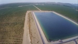 Olive plantation with reservoir