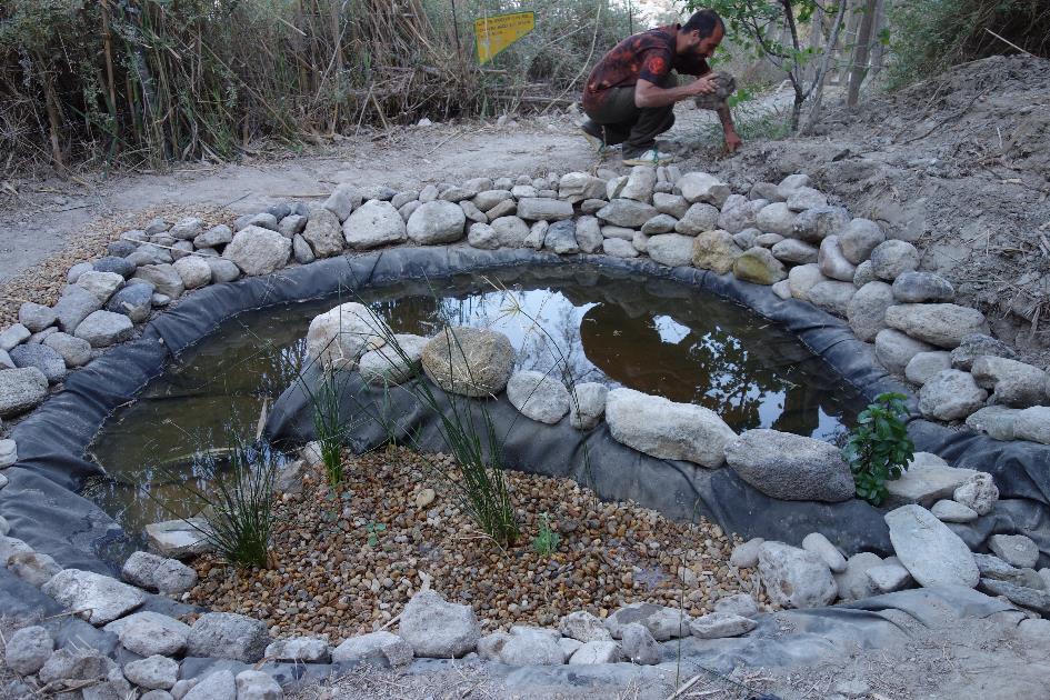 Wastewater treatment pond