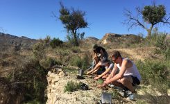 **CANCELLED** Practical course in Ecosystem Restoration