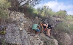 Repairing Piedras Secas – Traditional Spanish Dry Stone Walls