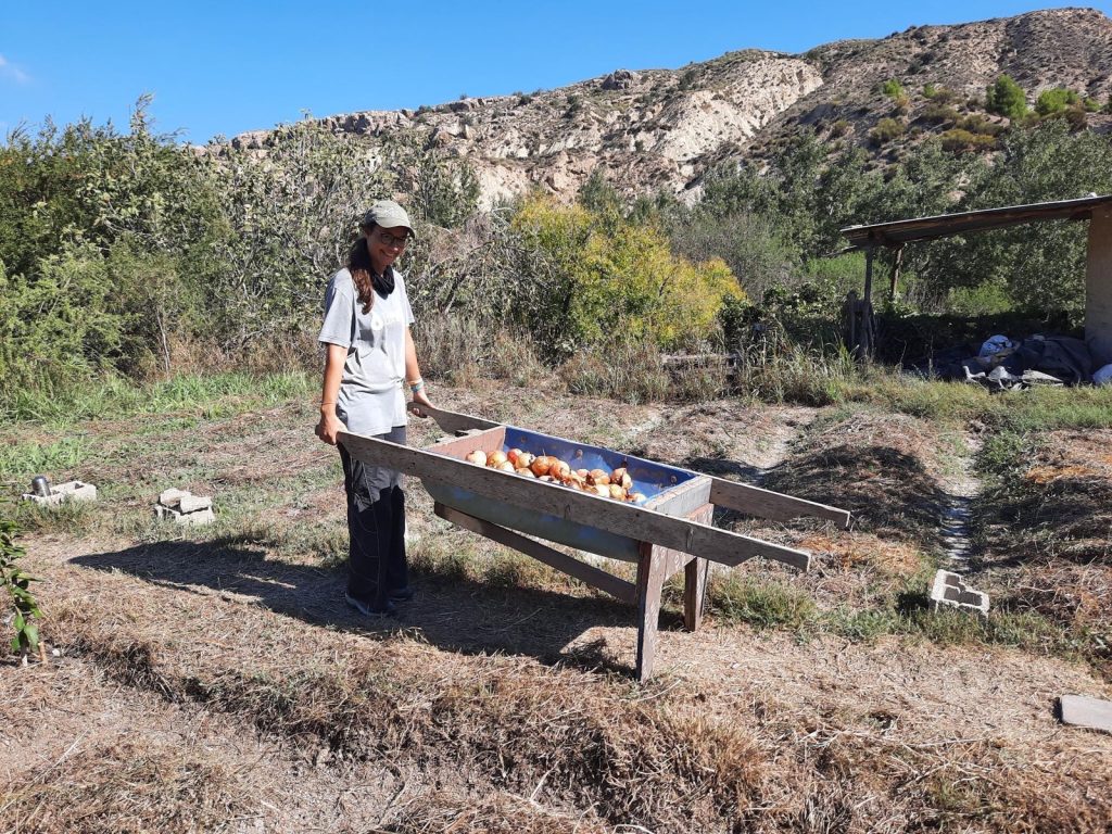 internship in organic gardens sunseed ecovillage