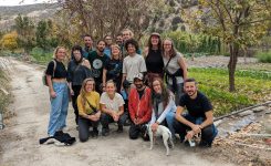 Volunteer Stories: Gardens Intern Jessi shares her Sunseed experience