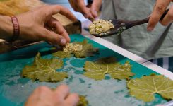 Pickling Vine leaves at Sunseed